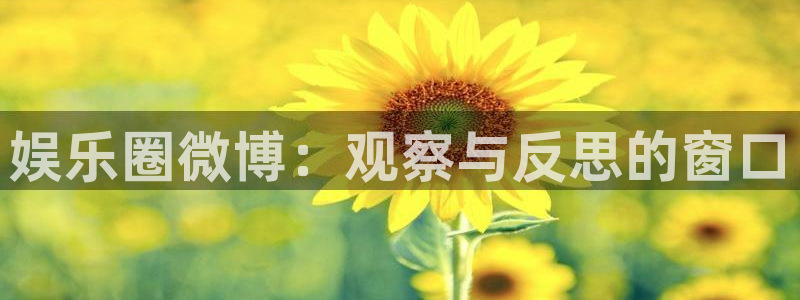 蓝图娱乐平台主管：娱乐圈微博：观察与反思的窗口